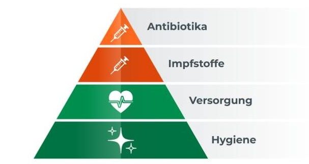 Aufbau der Versorgungspyramide: Hygiene und die Versorgung als Grundlage, Impfstoffe und Antibiotika als kurative Maßnahmen