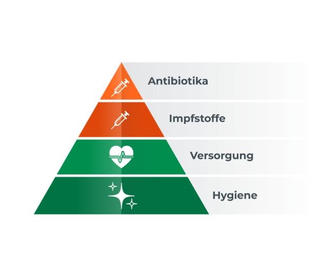 Aufbau der Versorgungspyramide: Hygiene und die Versorgung als Grundlage, Impfstoffe und Antibiotika als kurative Maßnahmen